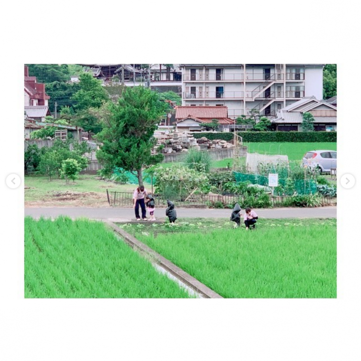 生駒 保育園 雨降り散歩 体験 写真4