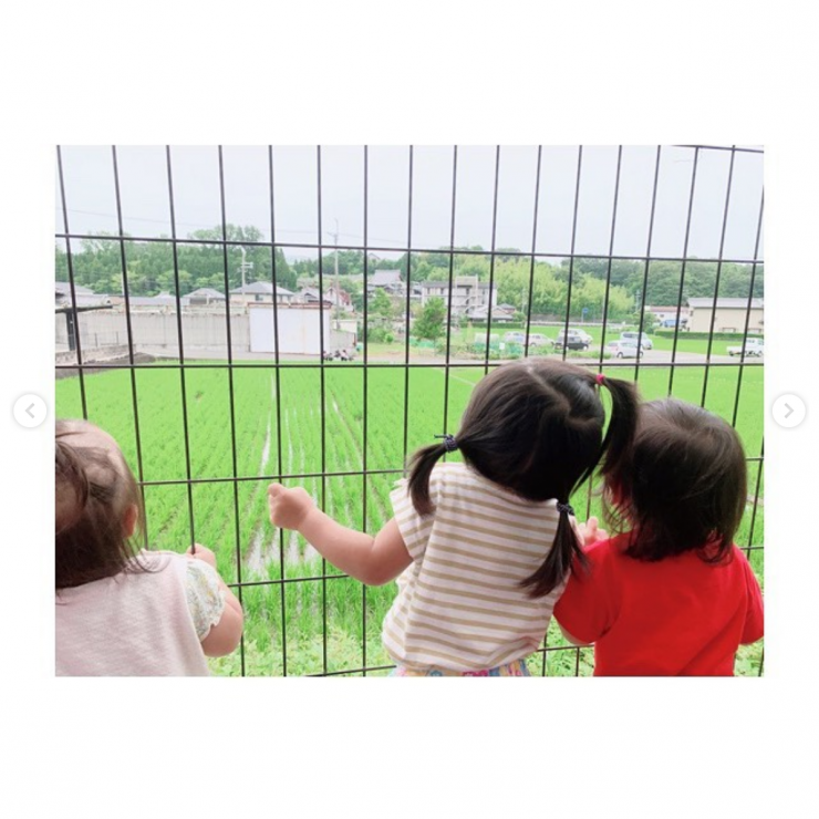 生駒 保育園 雨降り散歩 体験 写真5 生駒 保育園 雨降り散歩 体験 写真5