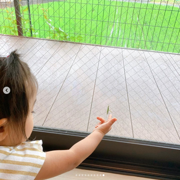 生駒 保育園 雨降り散歩 体験 写真6 生駒 保育園 雨降り散歩 体験 写真6