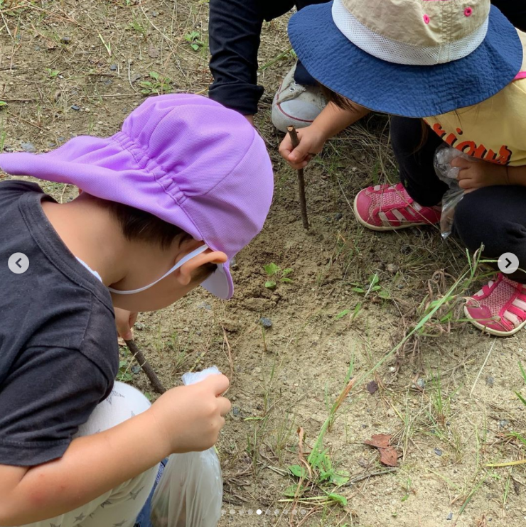 生駒市 保育園 いこいの家NRS どんぐり拾い (その5) 生駒市 保育園 いこいの家NRS どんぐり拾い (その5)