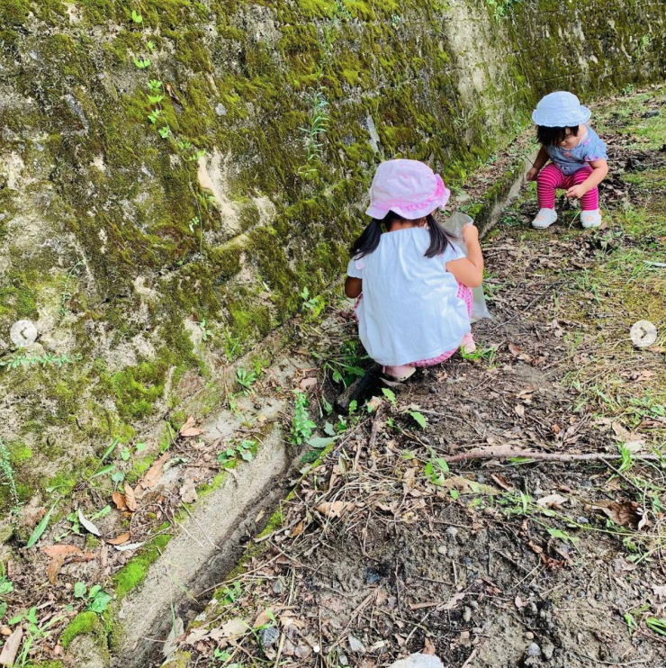 生駒市 保育園 いこいの家NRS どんぐり拾い (その4) 生駒市 保育園 いこいの家NRS どんぐり拾い (その4)